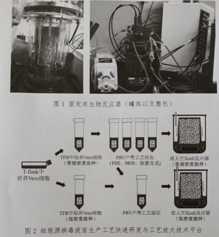 新型固定床生物反应器的开发及其应用-漯河职业技术学院食品产业服务科技创新平台